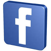 Segui il nostro Diario su Facebook